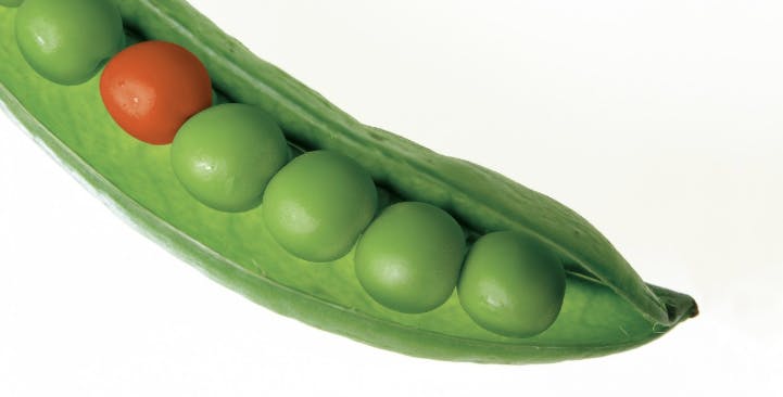 66fdb8fce1fd4a7706e1e0dc Differentiate Builders20that20stand20out