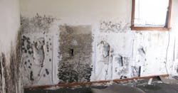 66fdb912a5dba026d8461695 Moldonwalls 66fdb912a5dba026d8461695 Moldonwalls