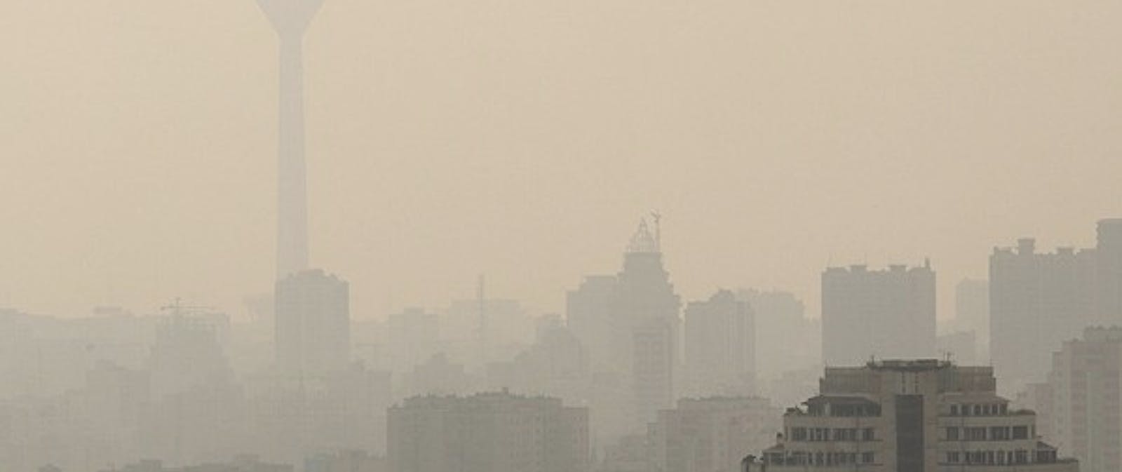 66fdb91e55d39786c3096d02 Citypollutionpoorairquality