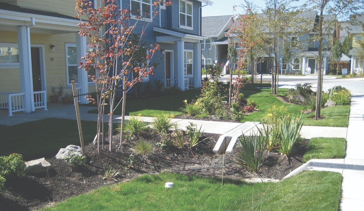 66fdb92fe63fdc2b41457810 Oregon20rain20garden Flickr Candace20stoughton Cc2