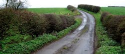 66fdb93e36c97efc118b5341 Steep20climb Road Kenneth20allen20cc20bysa202 66fdb93e36c97efc118b5341 Steep20climb Road Kenneth20allen20cc20bysa202