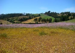 66fdb94301d3bf5b05af6b5d Land 66fdb94301d3bf5b05af6b5d Land