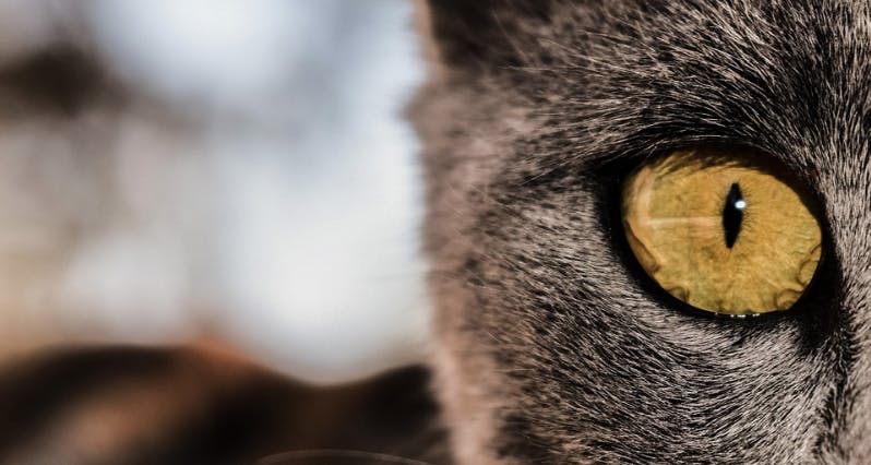 66fdb971e63fdc33a54578bb Sales20training Mystery Max20pixelshop Being20watc