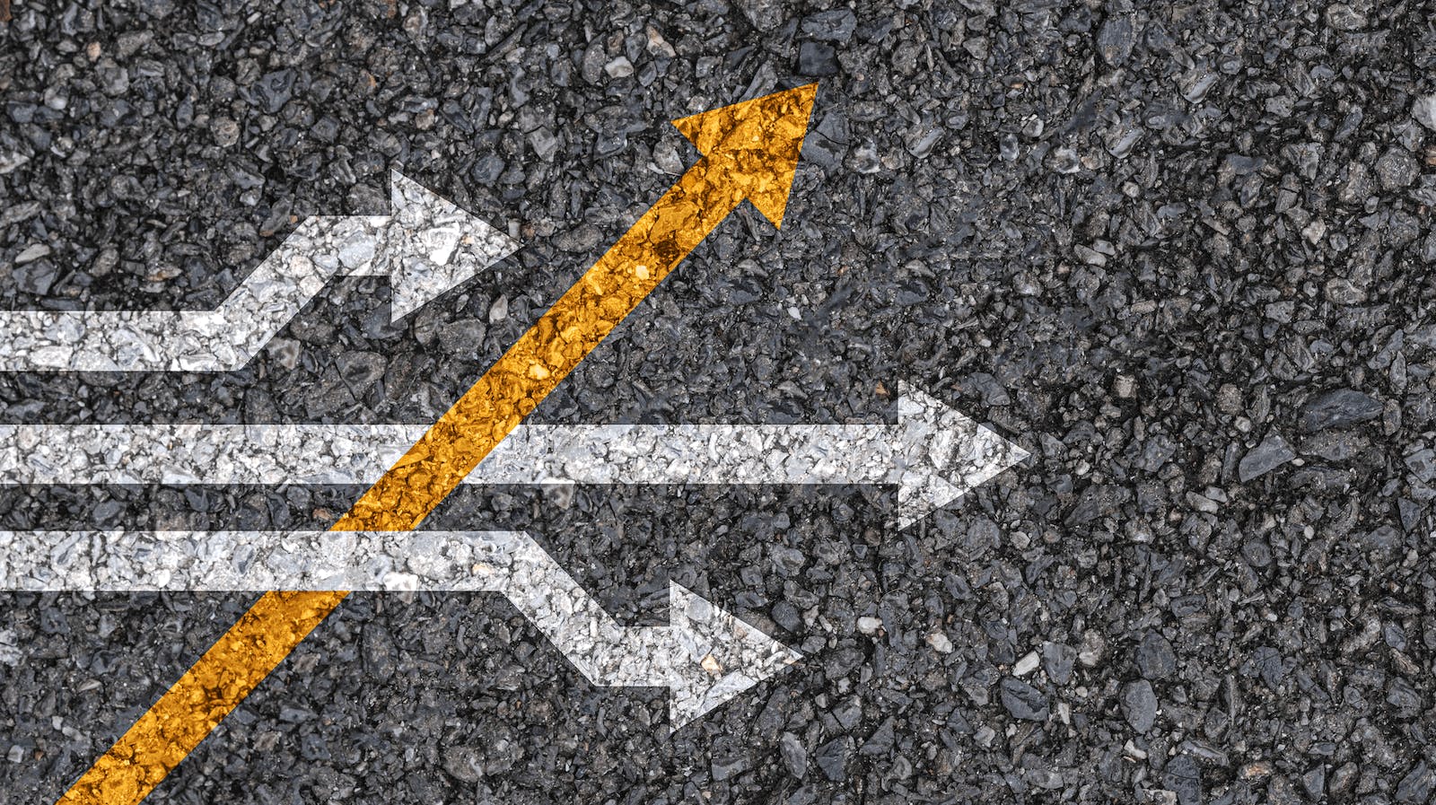 66fdb9d136c97e2d798b544e Industrydisrupterfollowsdifferentpathmin