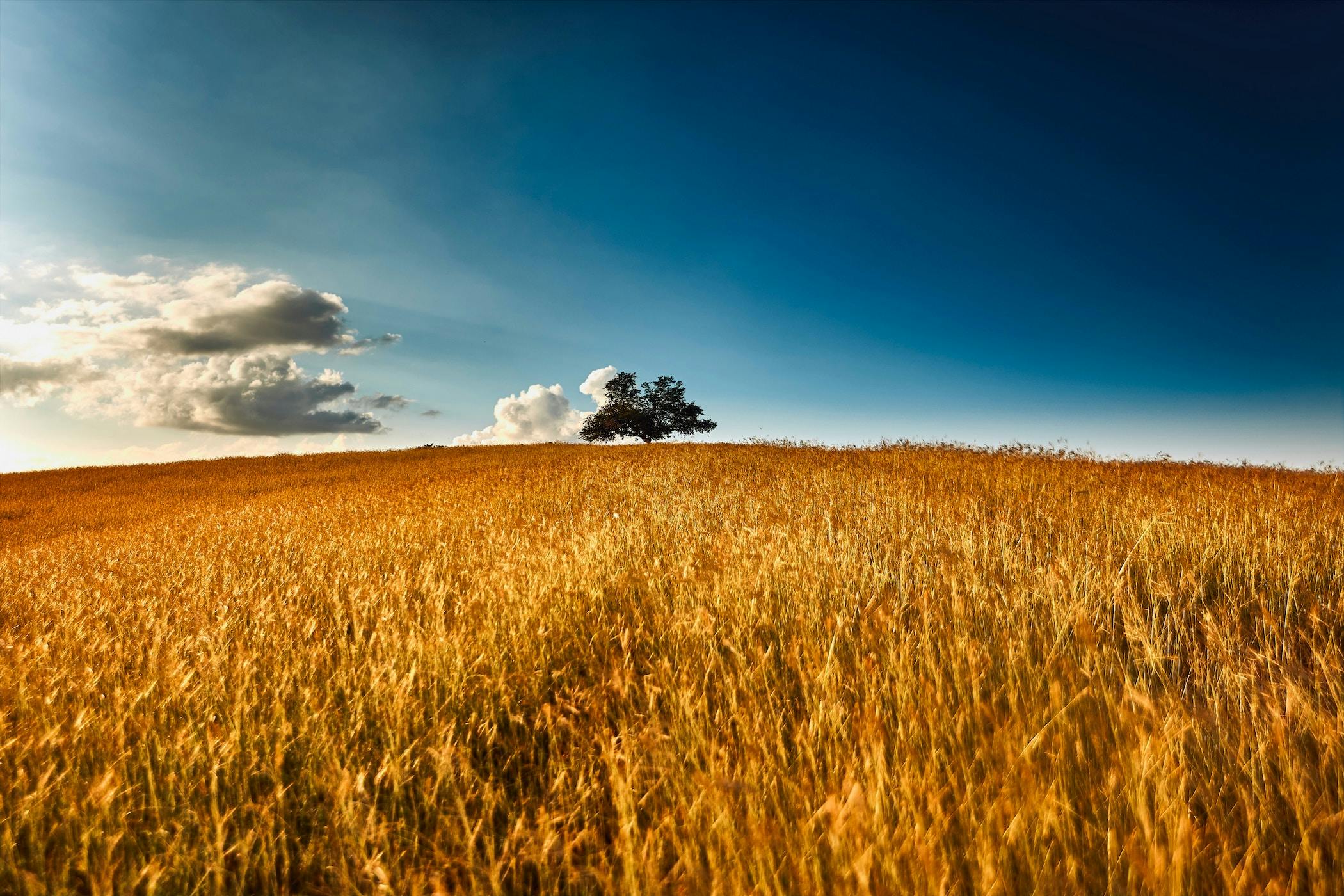 66fdb9f036c97e43b38b548c Oscarivanesquivelarteaga1139515unsplash