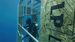 Some manufacturers will go to attention-grabbing lengths to assure users about the performance of their building products. This shark tank, with floors and corners constructed from LP's Legacy subflooring, is a perfect example. Some manufacturers will go to attention-grabbing lengths to assure users about the performance of their building products. This shark tank, with floors and corners constructed from LP's Legacy subflooring, is a perfect example.