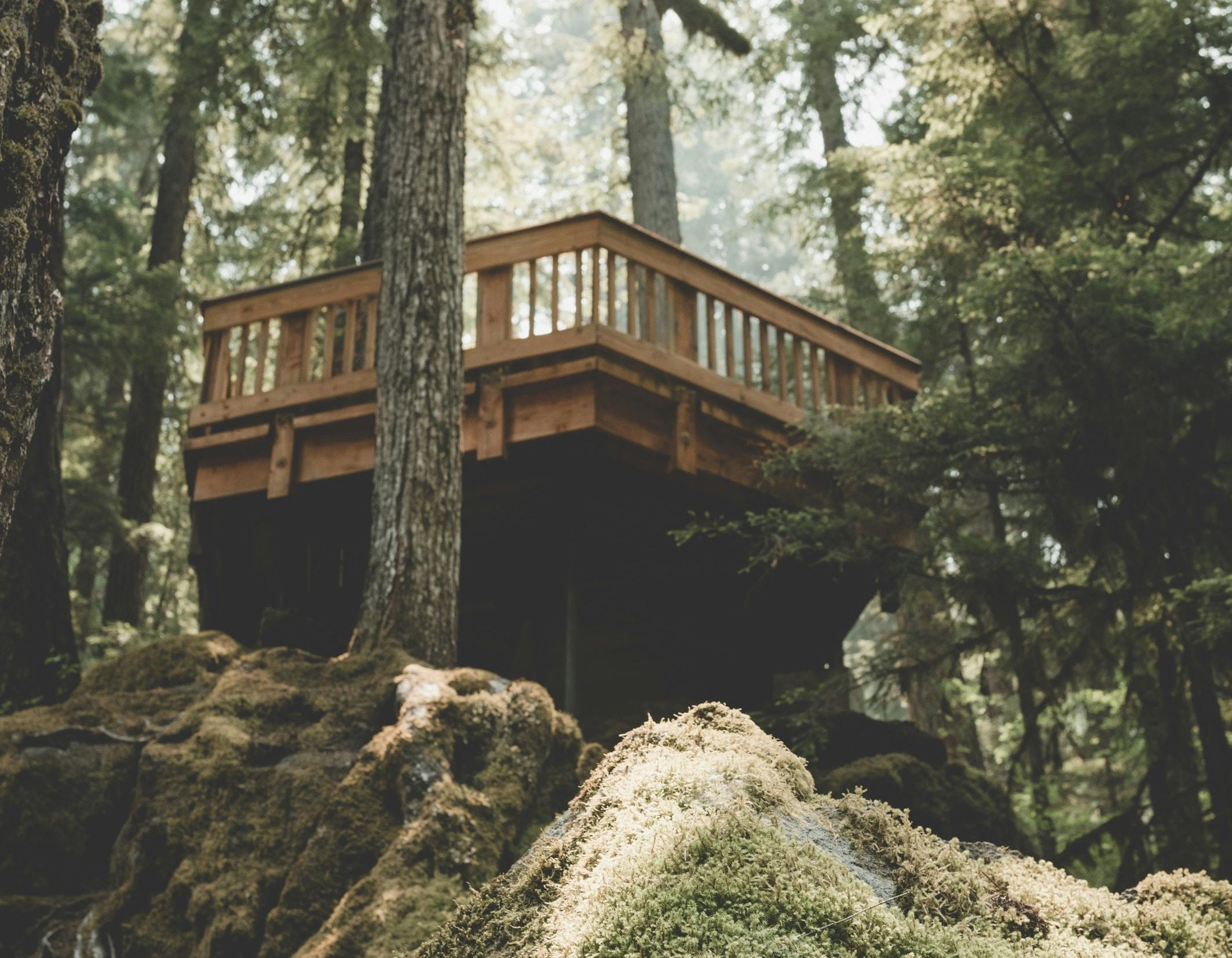 66fdb9fbdbd68e69824a9b65 Claybanks763452unsplash