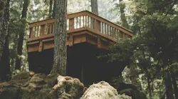 Photo: Unsplash/Clay Banks