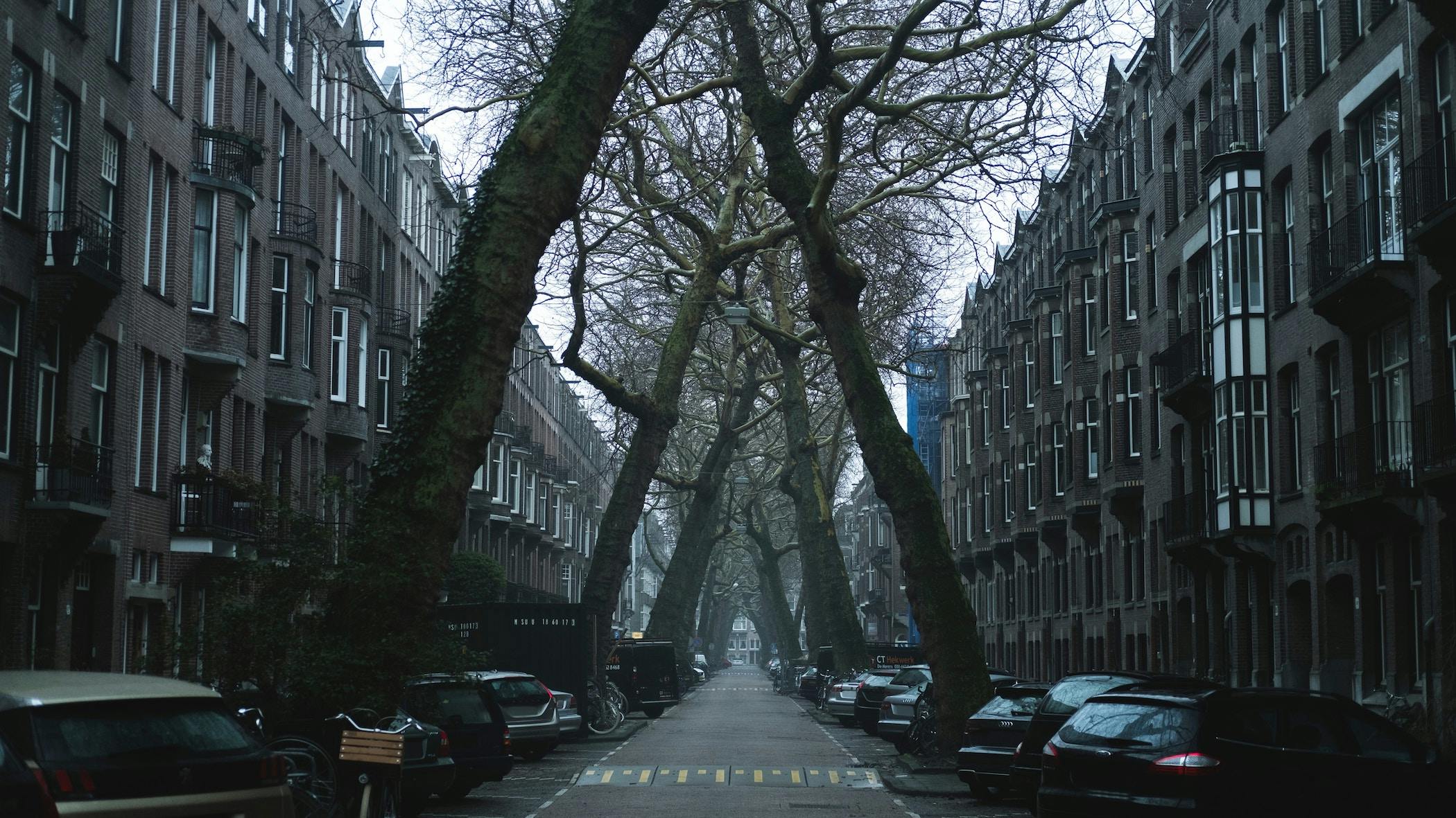 66fdb9fbde5fd12763547f0b Marckleen1394091unsplash