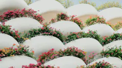 Photo: Chuttersnap/Unsplash