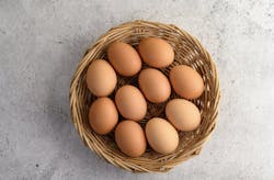 66fdba24a5dba004e54618c5 Browneggsinbasketonconcretesurface 66fdba24a5dba004e54618c5 Browneggsinbasketonconcretesurface