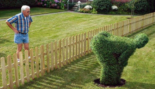 66fdba3f36c97e77268b553f Angry Neighborimg744