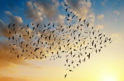 66fdba7ade5fd1ce9854800c Migration 0 66fdba7ade5fd1ce9854800c Migration 0