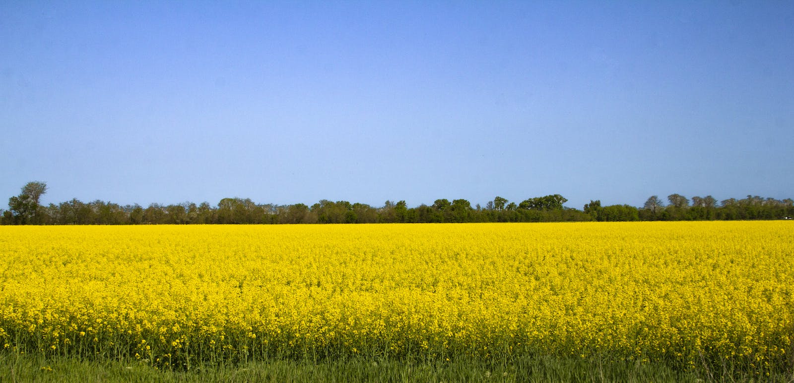 66fdbaa655d3979c0f097039 Ukraine20landscape20flag