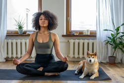 66fdbb0cdbd68e1b734a9d39 Photo20by20cottonbro20from20pexels20hero 66fdbb0cdbd68e1b734a9d39 Photo20by20cottonbro20from20pexels20hero