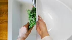 While respondents say greens and blues will be the most prominent colors in kitchens and bathrooms, whites and off-whites will be the most prominent neutral colors in both spaces. Photo courtesy Pexels