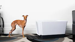 00 Hero Doggy Bathroom Whippet Dog White Tub