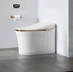 66fdbb68a897b535e8b1f3b9 Eirintelligenttoiletkohler 66fdbb68a897b535e8b1f3b9 Eirintelligenttoiletkohler