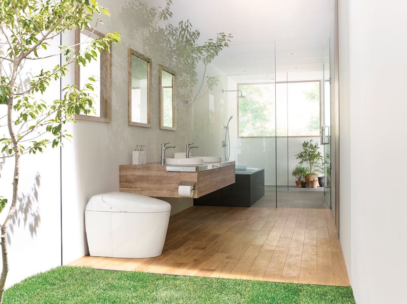 66fdbb6901d3bf5e91af6f0c Totoneorestenvironmentshot