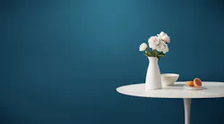 Clare Paint Sublime Color Blue Interior Wall Paint Beauty Shot With Graperuits And Plant jpg