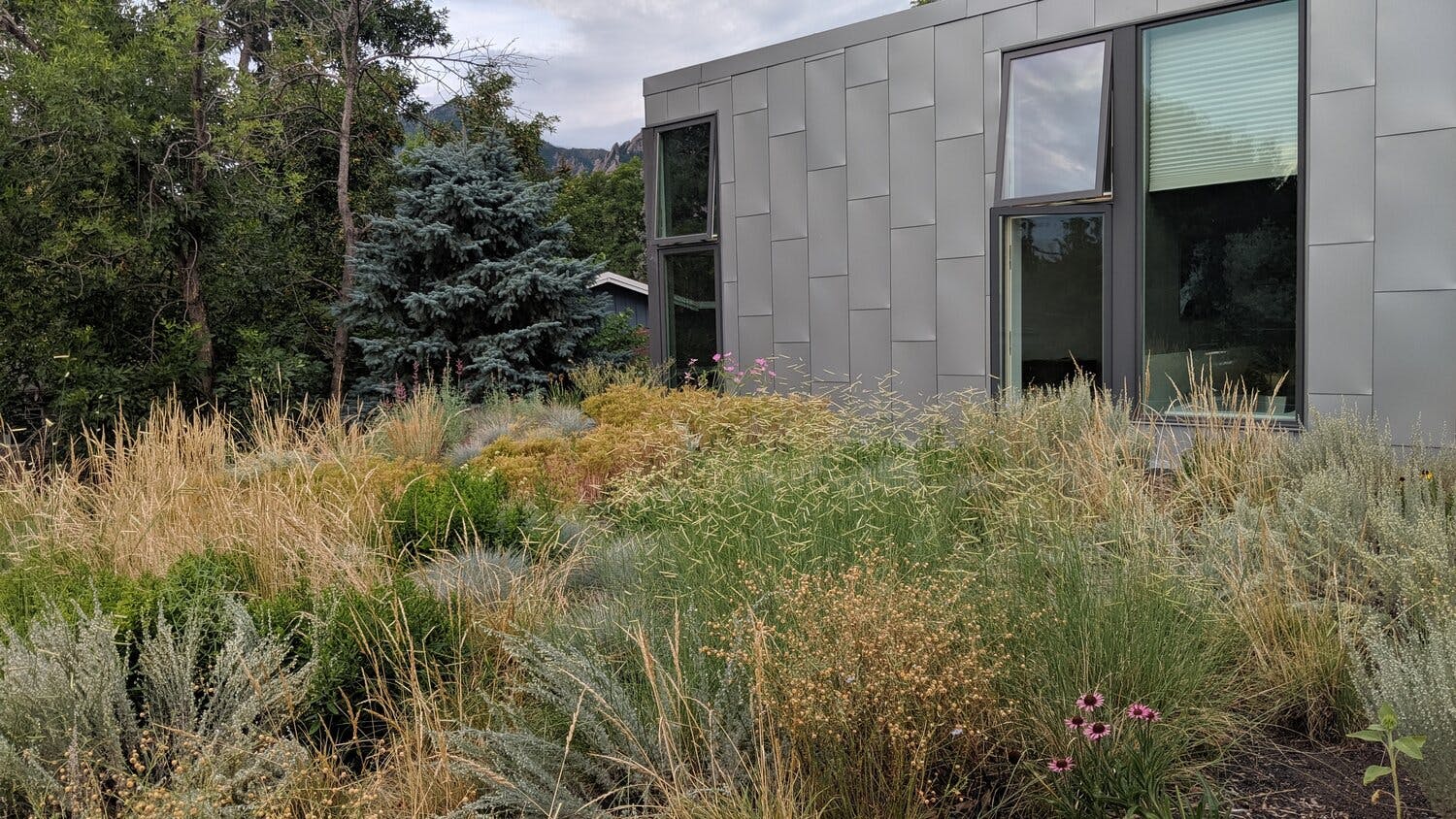 66fdbb6dd4ea387f4ea58f9b Greenroofarchitectkarladakingreenroofawards