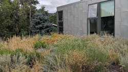 66fdbb6dd4ea387f4ea58f9b Greenroofarchitectkarladakingreenroofawards 66fdbb6dd4ea387f4ea58f9b Greenroofarchitectkarladakingreenroofawards