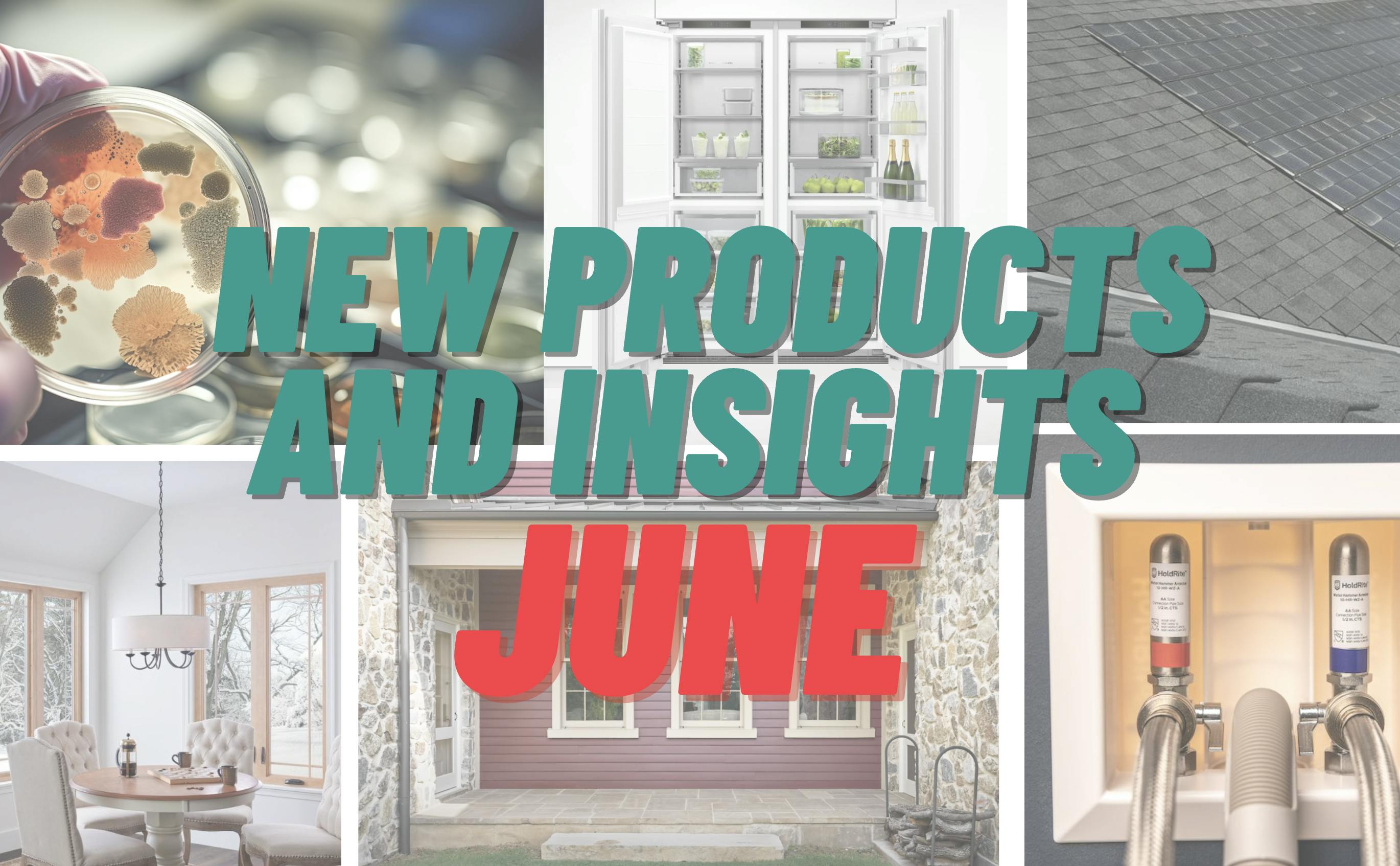 66fdbba136c97e67dc8b5701 Newproductsinsightsjune