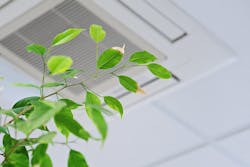 66fdbba3a5dba0fa7d461b08 Indoor20air20quality20image 66fdbba3a5dba0fa7d461b08 Indoor20air20quality20image
