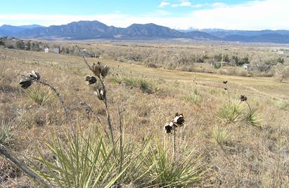 66fdbbc8a897b5cebdb1f463 Land