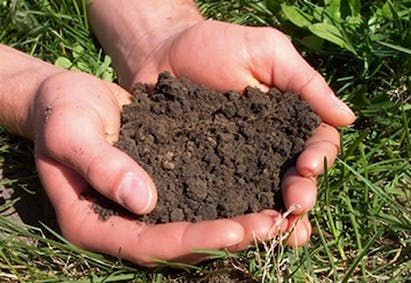 66fdbbd2d4ea386978a5902b Soiltesting