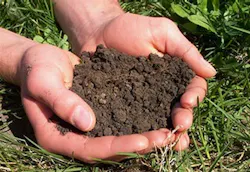 66fdbbd2d4ea386978a5902b Soiltesting 66fdbbd2d4ea386978a5902b Soiltesting
