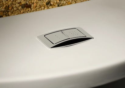 66fdbbdfdbd68e66db4a9ebc Dual20flush