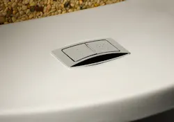 66fdbbdfdbd68e66db4a9ebc Dual20flush 66fdbbdfdbd68e66db4a9ebc Dual20flush