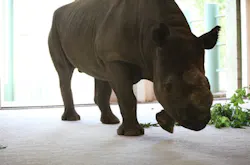 66fdbbe3a5dba085f1461bd4 Steve1 66fdbbe3a5dba085f1461bd4 Steve1