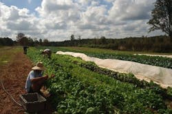 66fdbbf9e1fd4a17bae1e6eb Serenbe 66fdbbf9e1fd4a17bae1e6eb Serenbe