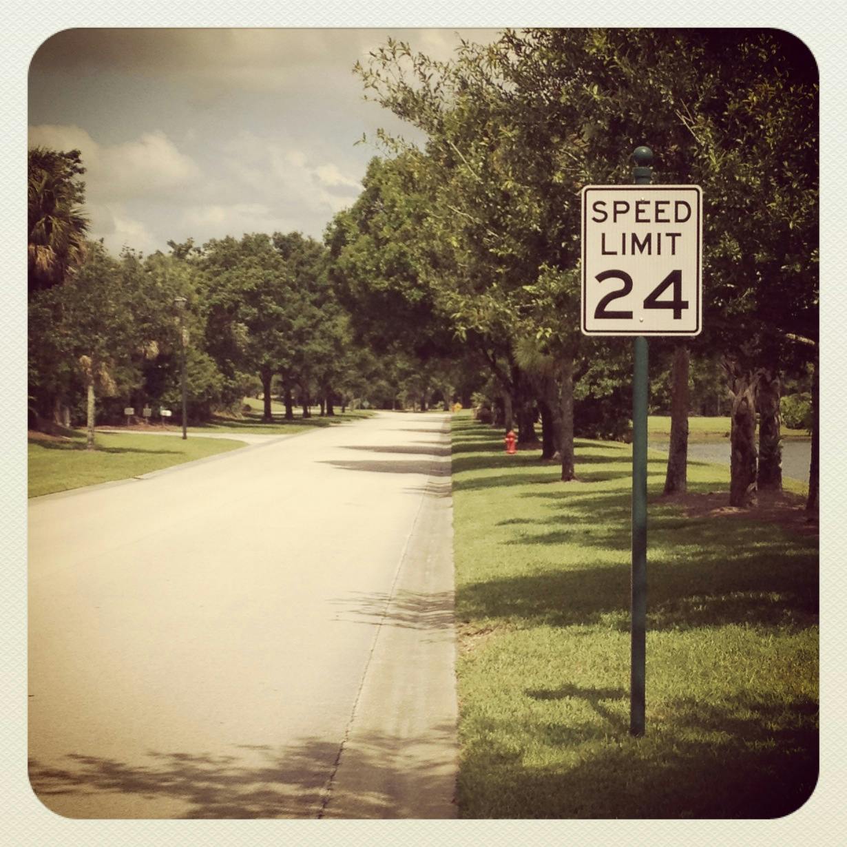 66fdbbfbd4ea3890a6a590e7 La20foto