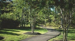 66fdbc3ae63fdc36e8457e4d Homebuyers20demand20green 66fdbc3ae63fdc36e8457e4d Homebuyers20demand20green