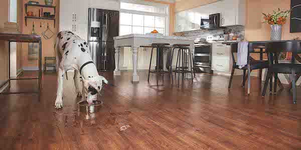 66fdbc40e1fd4a7177e1e7b8 Pergo20laminate20flooring20 V2