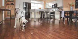 66fdbc40e1fd4a7177e1e7b8 Pergo20laminate20flooring20 V2 66fdbc40e1fd4a7177e1e7b8 Pergo20laminate20flooring20 V2