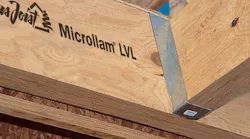 Microlam Image 2