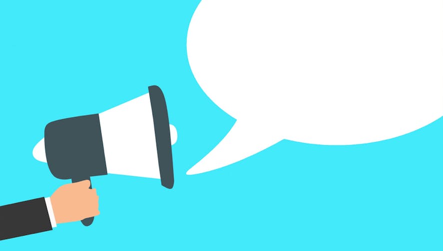 66fdbc64e1fd4a73fce1e7fc Bull20horn Pxhere20cc0