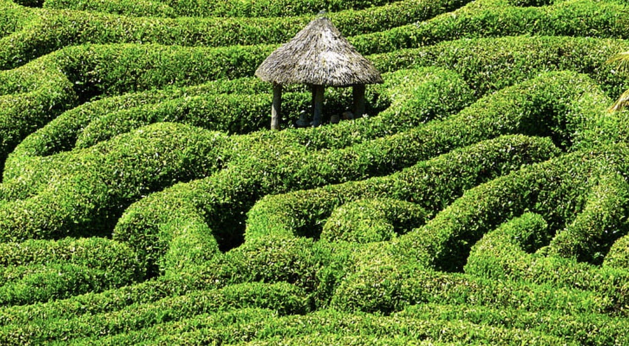 66fdbc6aa5dba04e6e461d1e Greenhedgepuzzlingmazewithsmallthatchedhutat20cent