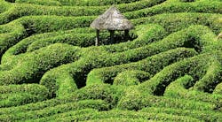 66fdbc6aa5dba04e6e461d1e Greenhedgepuzzlingmazewithsmallthatchedhutat20cent 66fdbc6aa5dba04e6e461d1e Greenhedgepuzzlingmazewithsmallthatchedhutat20cent