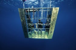 66fdbc6de63fdc0a52457e9e Lp20legacy Ph 3847 8 66fdbc6de63fdc0a52457e9e Lp20legacy Ph 3847 8