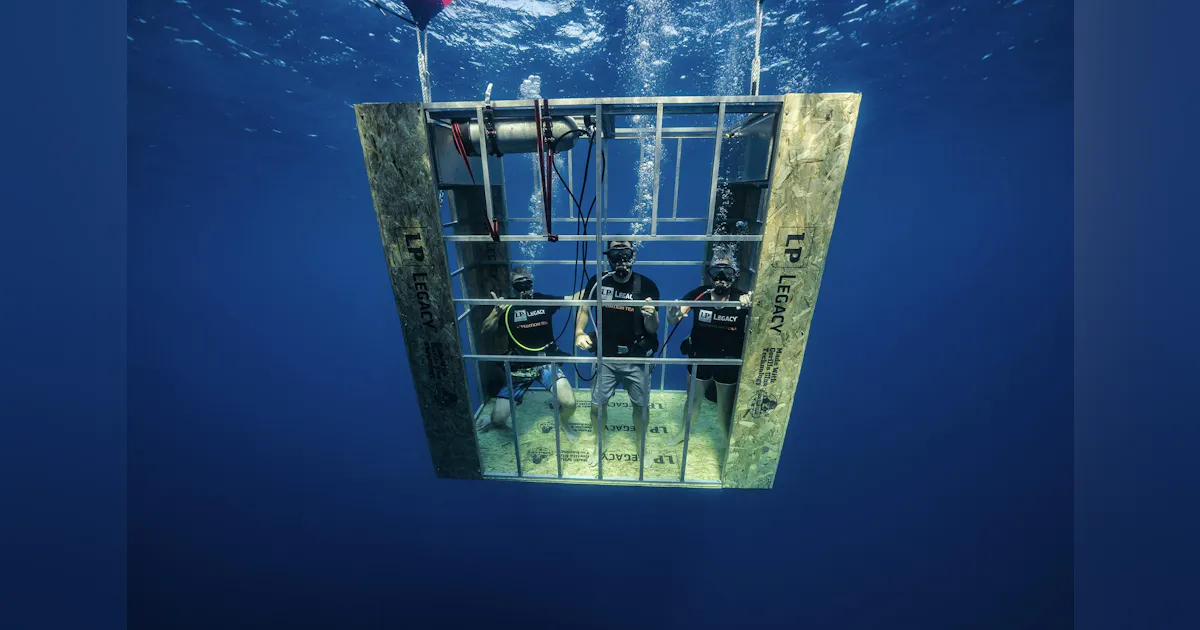 Sub Waterproof Tech Sub-flooring That Can Stand Up to Weather, Moisture—and Sharks | Pro ...