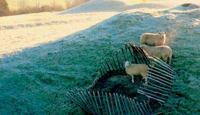 66fdbc73a5dba08421461d42 0919editorialleft20out20in20coldnigel20mykuracc20b