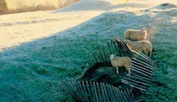 66fdbc73a5dba08421461d42 0919editorialleft20out20in20coldnigel20mykuracc20b 66fdbc73a5dba08421461d42 0919editorialleft20out20in20coldnigel20mykuracc20b