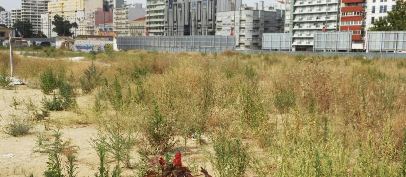 66fdbc77dbd68e35fe4aa033 Vacantbuildinglot