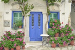 66fdbc7ee63fdc42b9457eca Curbappealpelargoniumsbrightcheeryhomeentry 66fdbc7ee63fdc42b9457eca Curbappealpelargoniumsbrightcheeryhomeentry