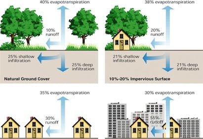 66fdbcf03cabd926c9a6963d Lid Large